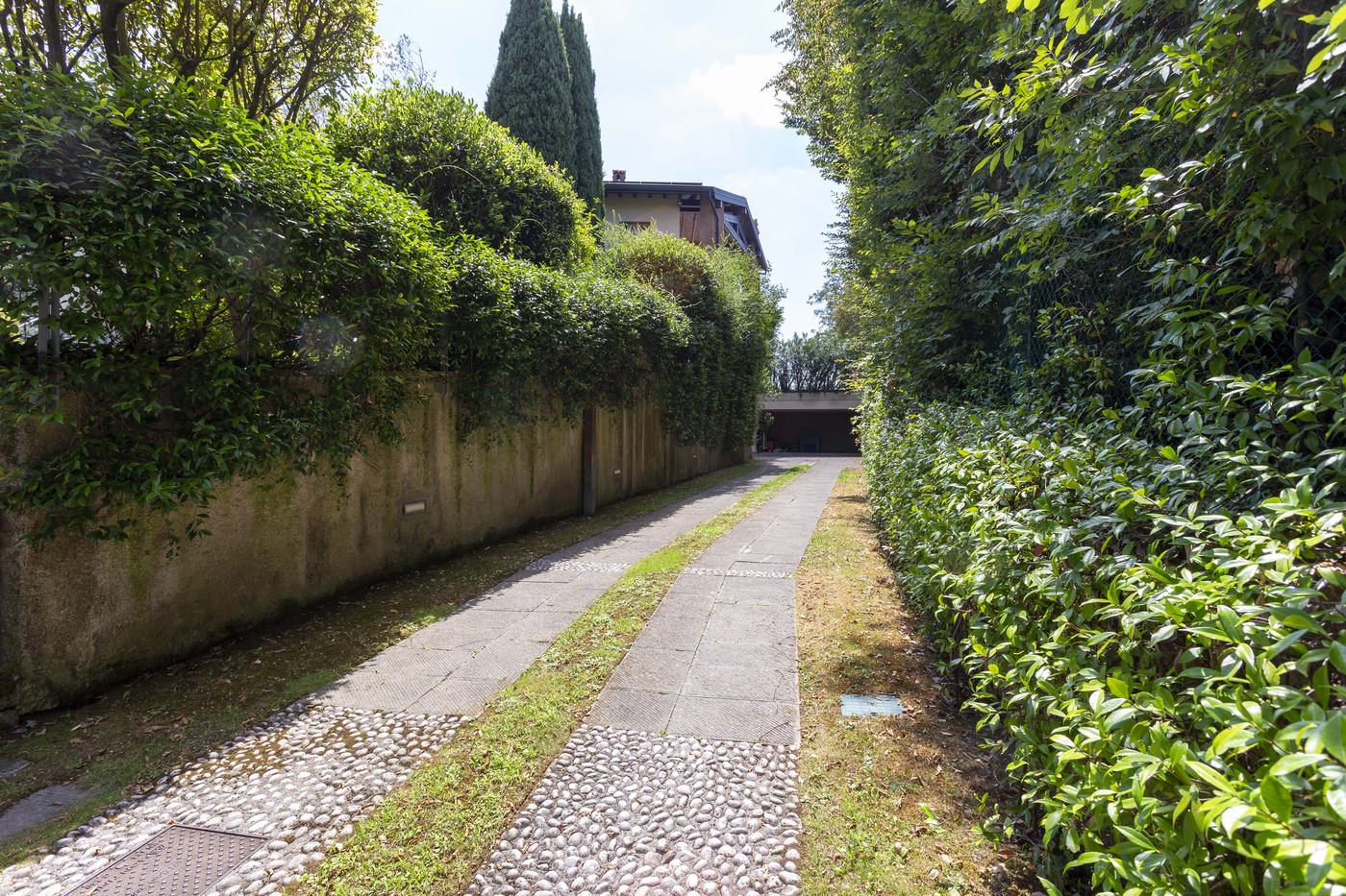 The hedged path running along the side of the property